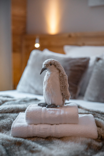 HOTEL LES FLOCONS - © HOTEL LES FLOCONS HOTEL LES FLOCONS