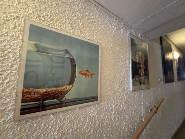 dji-20260110-121648-551-328481