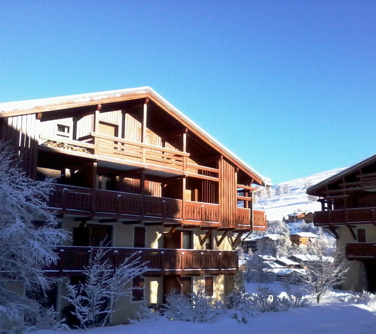 LES CHALETS D'OR N°A325 Apartment 5 people