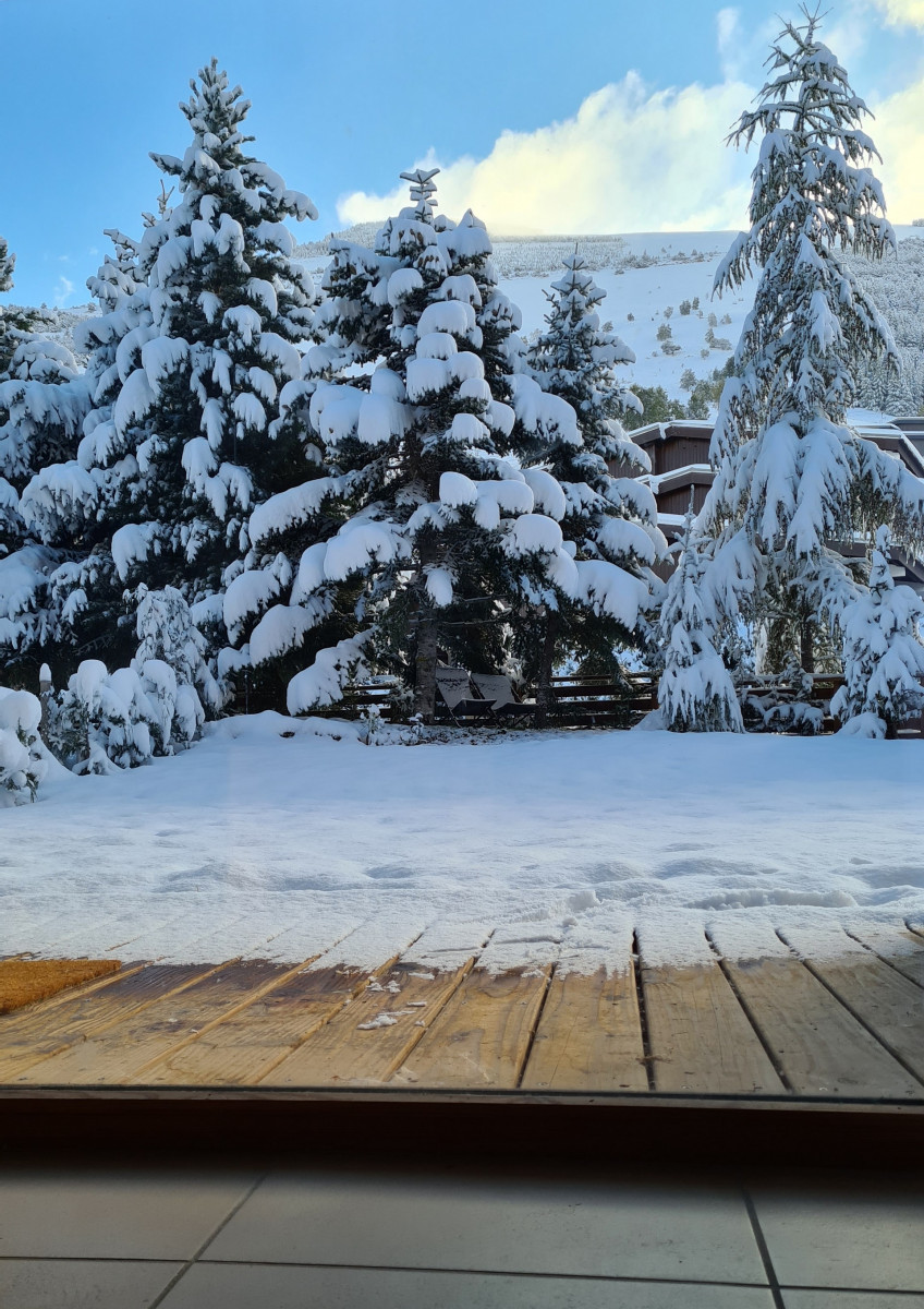 LE CRYSTAL CHALET n°13