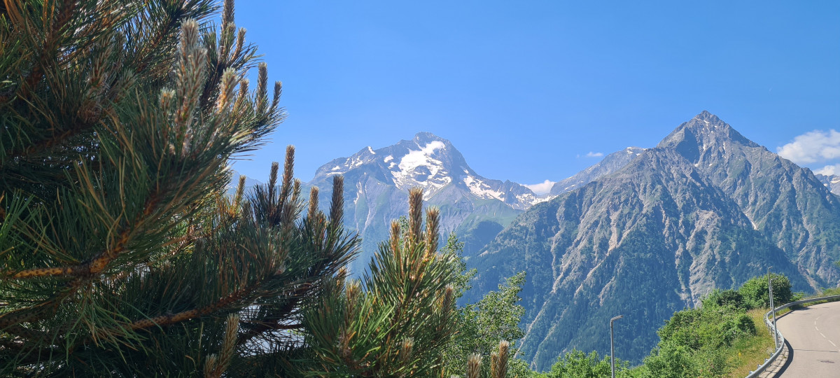 20250622-112651-4205559