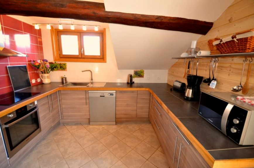 CHALET ALICE Appartement Anémone 14 personnes