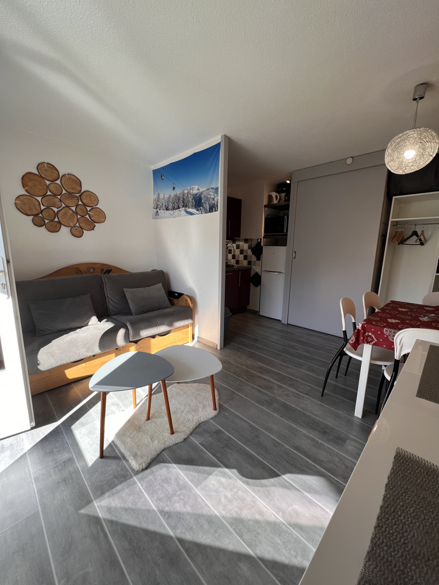 LE LAUTARET 3 P1 Appartement 4 personnes