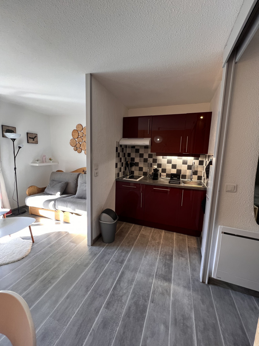 LE LAUTARET 3 P1 Appartement 4 personnes