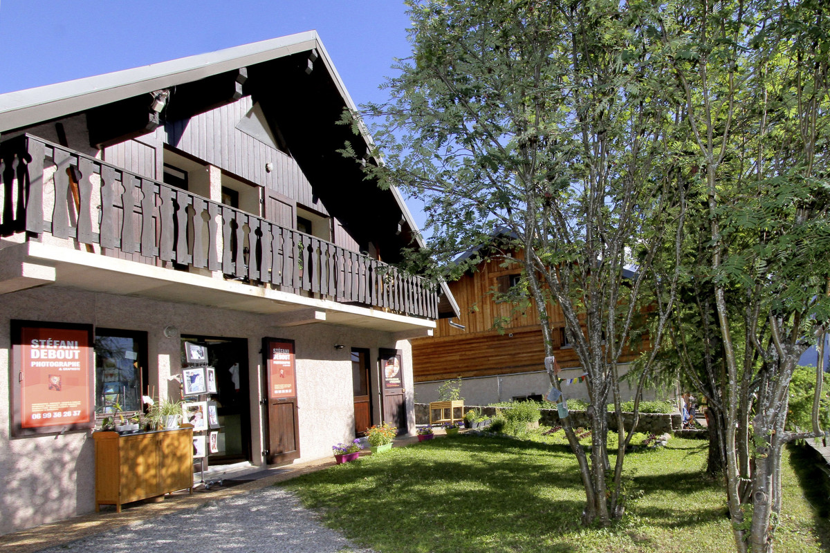24-location-lupins-2026-tiff-5083072