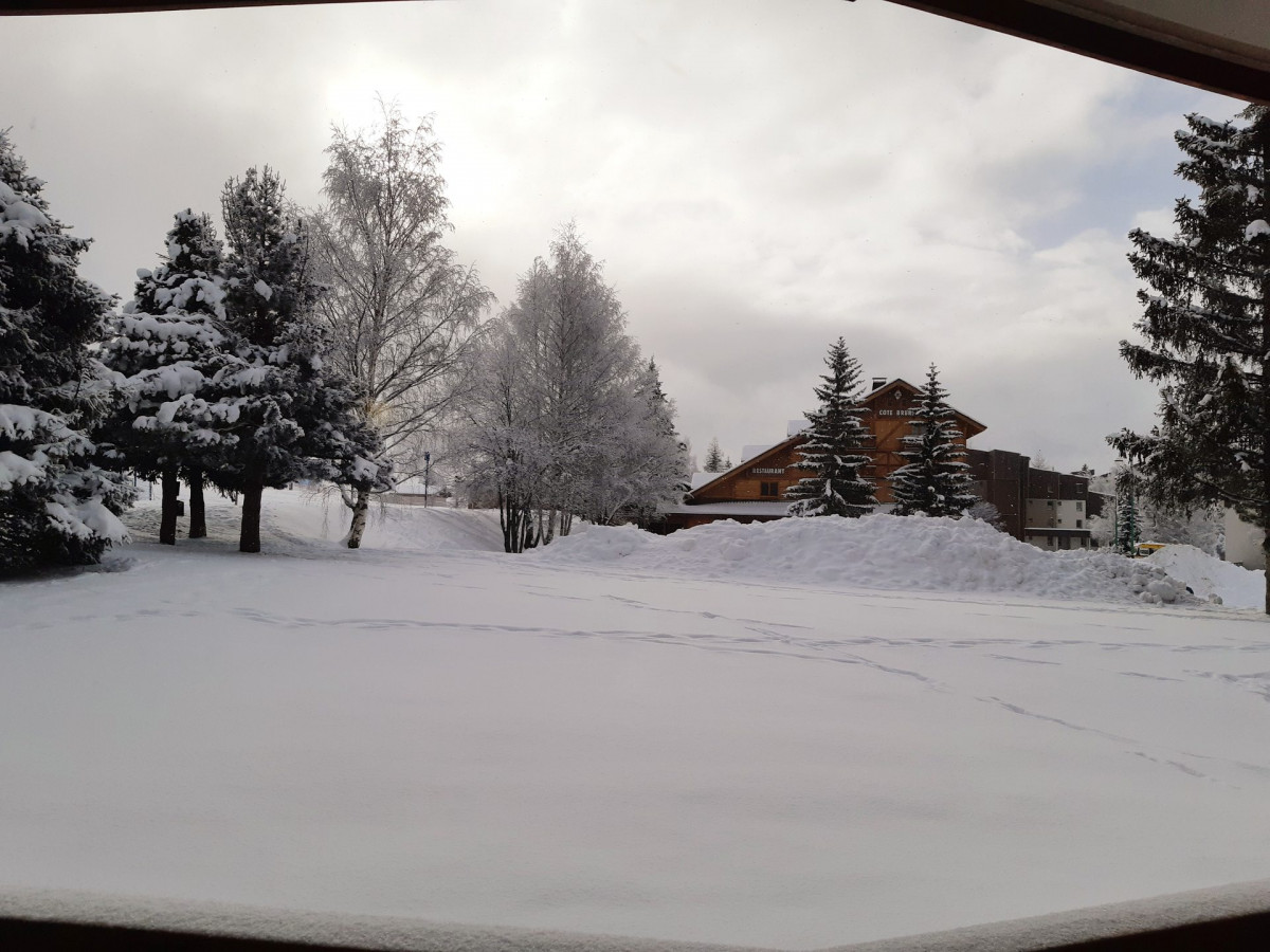 _lv_images__lot_0037250255_06_4406736 _lv_images__lot_0037250255_06_4406736