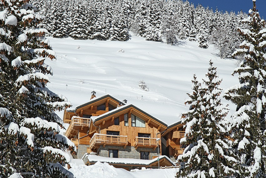 CHALET FOREST + WHITE BEAR - Chalet 15 personnes