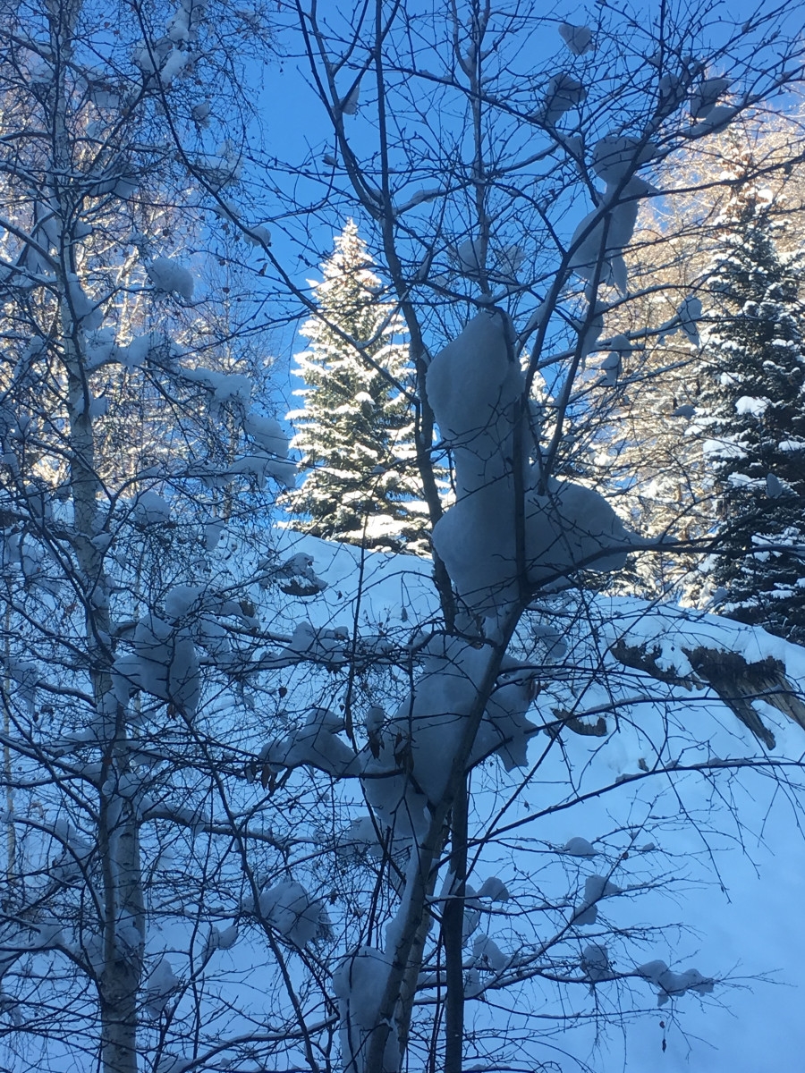 img-4044-4202544 img-4044-4202544