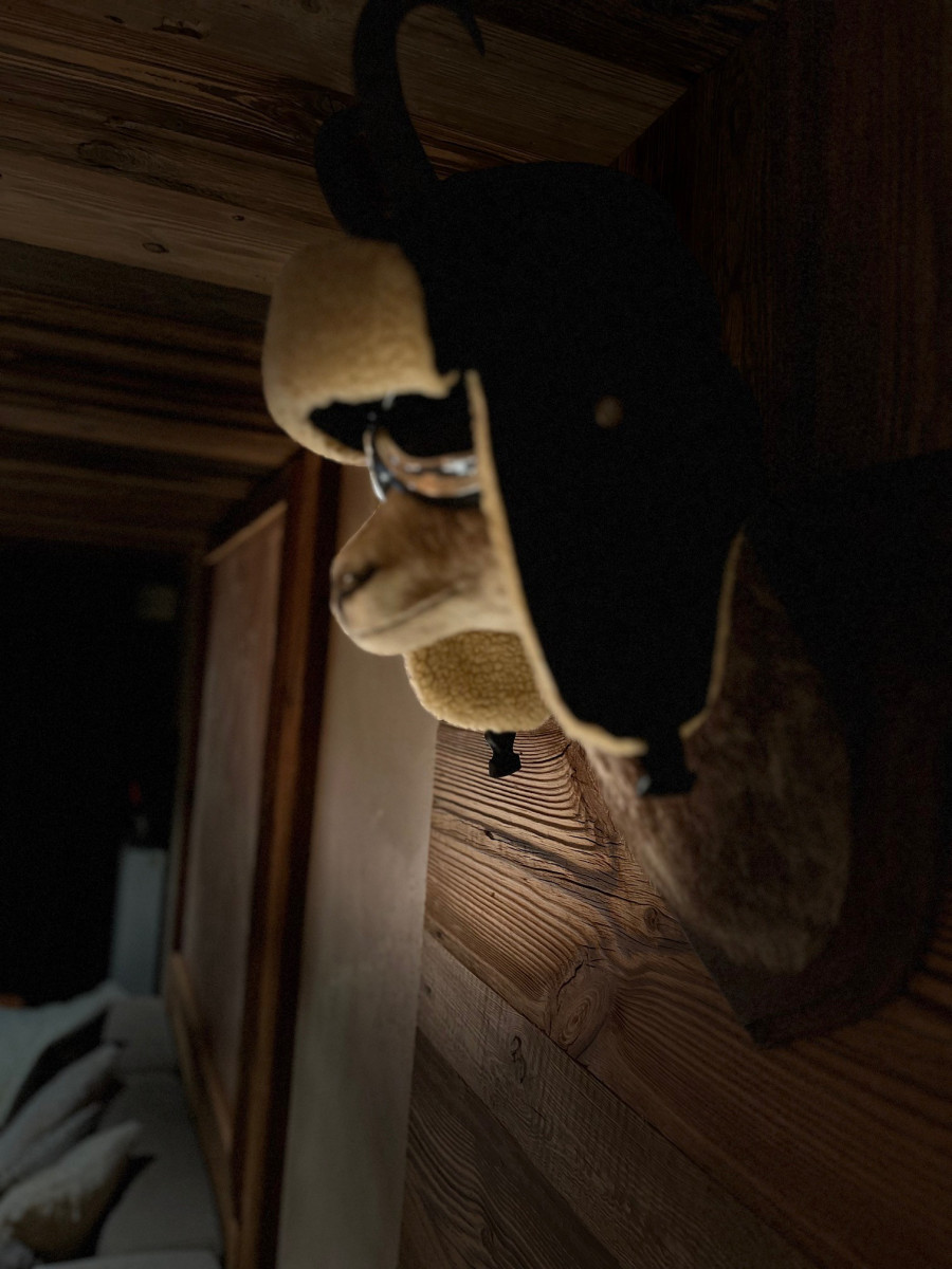 L'ALTITUDE LE REFUGE DE CHARLY Appartement 6 personnes L'ALTITUDE LE REFUGE DE CHARLY Appartement 6 personnes