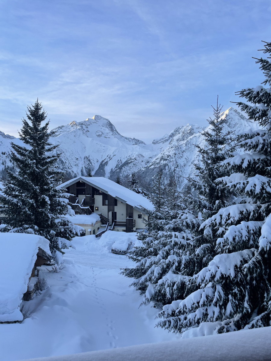 L'ECRIN BLANC Chalet 8 personnes