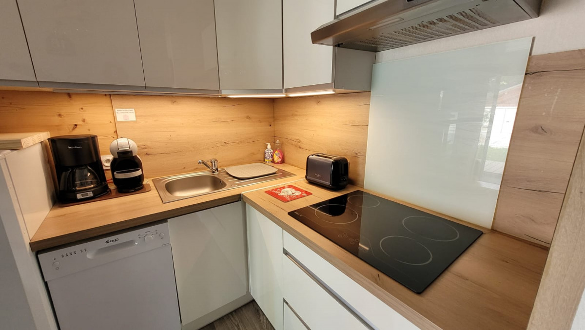 LE JARDIN ALPIN A n°9 Appartement 6 personnes