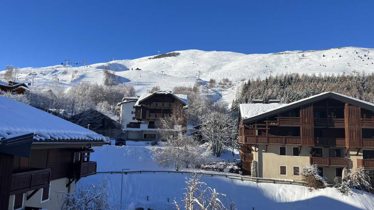LES CHALETS D'OR D 328 Appartement 6 personnes