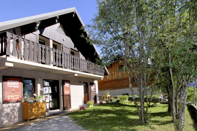 24-location-lupins-2026-tiff-5083072