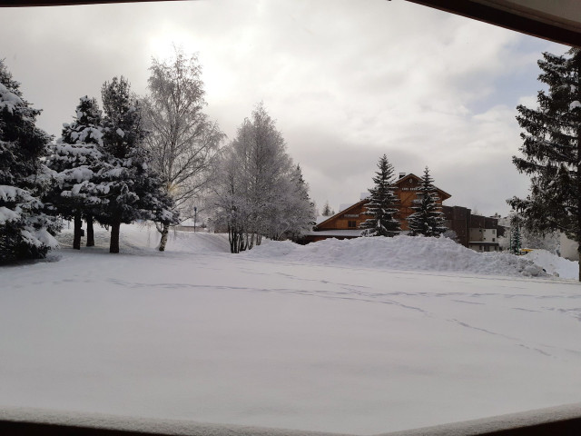 _lv_images__lot_0037250255_06_4364229