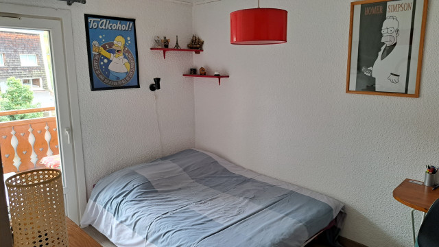 ch-will-redimensionn-e-5086487 ch-will-redimensionn-e-5086487