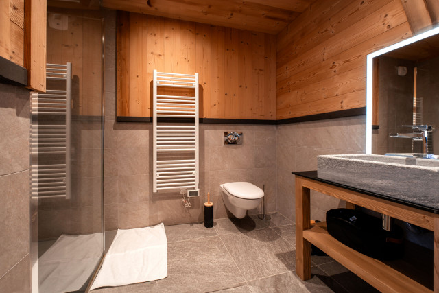 chalet-le-saje-15-4661780