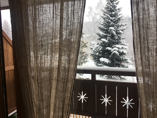 img-4916-4536774 img-4916-4536774