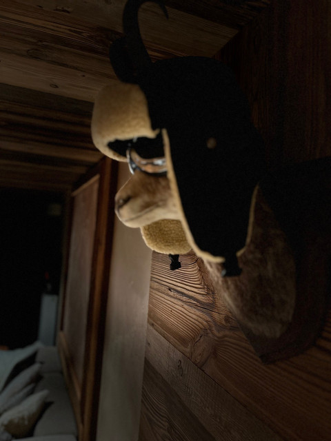 L'ALTITUDE LE REFUGE DE CHARLY Appartement 6 personnes